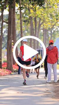 BIB:  <button type="button" onclick="openModal(27608580)" class="btn btn-primary btn-sm float-right" data-toggle="modal" data-target=".modal-high-quality">
                <i class="fa fa-download"></i> Download
                </button>